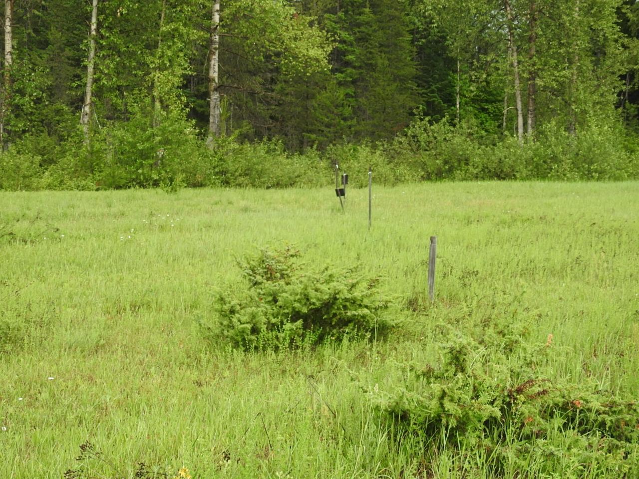 For sale 225 BARNES CREEK FOREST SERVICE ROAD, Edgewood, British