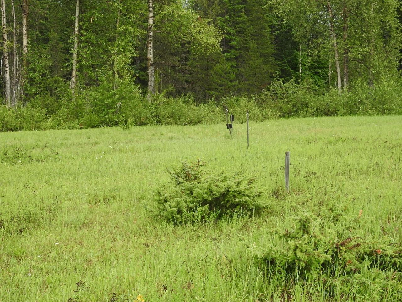 For sale 225 BARNES CREEK FOREST SERVICE ROAD, Edgewood, British