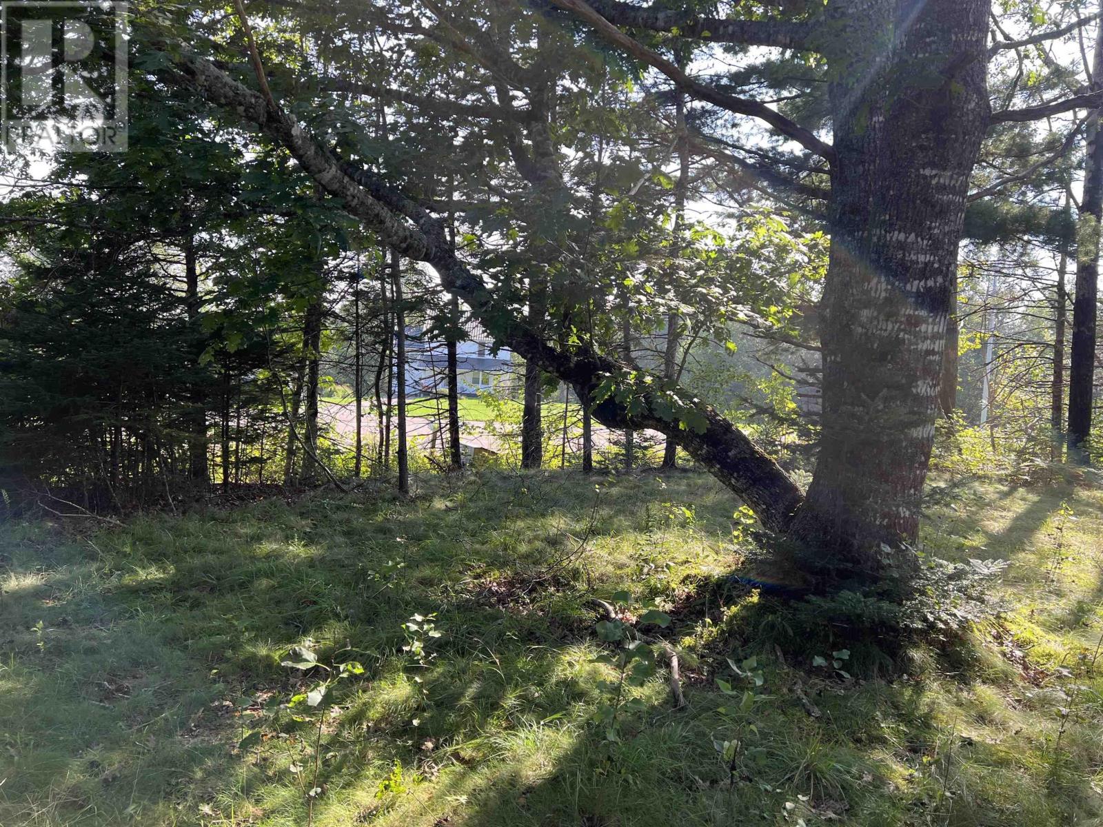 For sale 188 Highway 347, Aspen, Nova Scotia B0K1E0 202319586