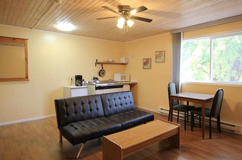 For sale 509 SLOCAN AVENUE, Village of New Denver, British Columbia