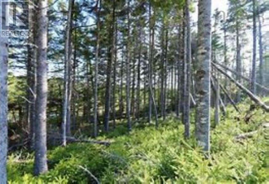 For sale Sterling Road, Framboise, Nova Scotia B2J1C1 202323872