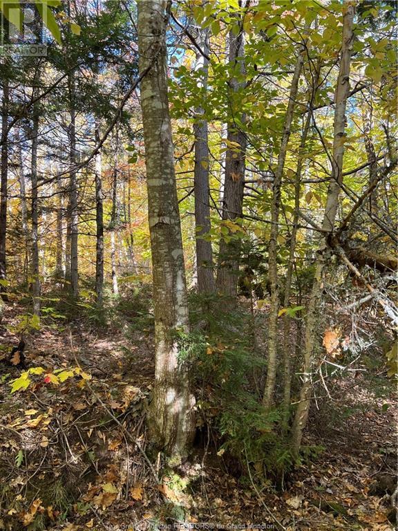 For sale Lot Scotch Settlement RD, Irishtown, New Brunswick E1H1R1