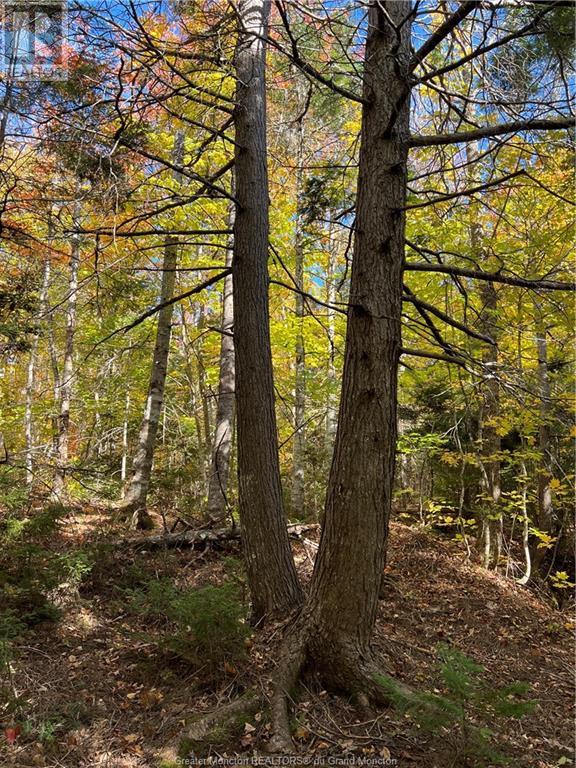 For sale Lot Scotch Settlement RD, Irishtown, New Brunswick E1H1R1