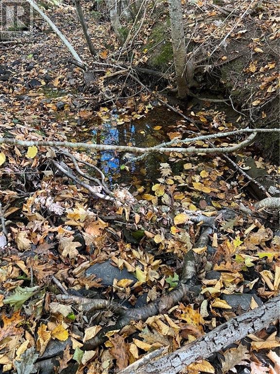 For sale Lot Scotch Settlement RD, Irishtown, New Brunswick E1H1R1