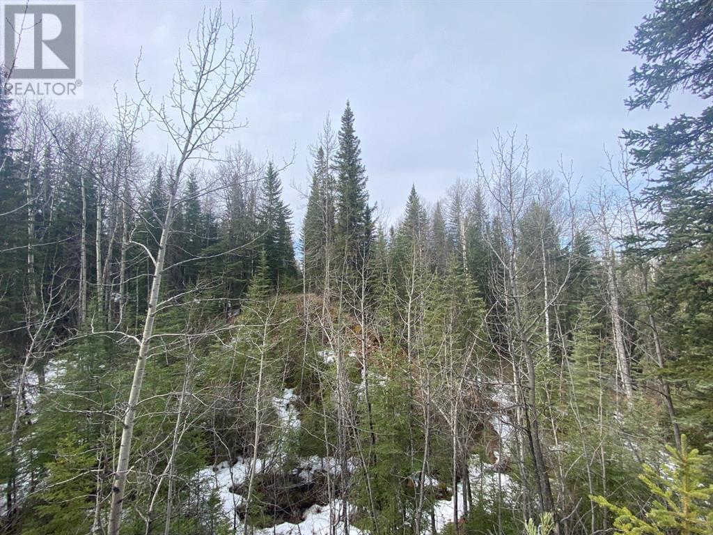 For sale 5235228 SW, Rural Yellowhead County, Alberta T7V1A0