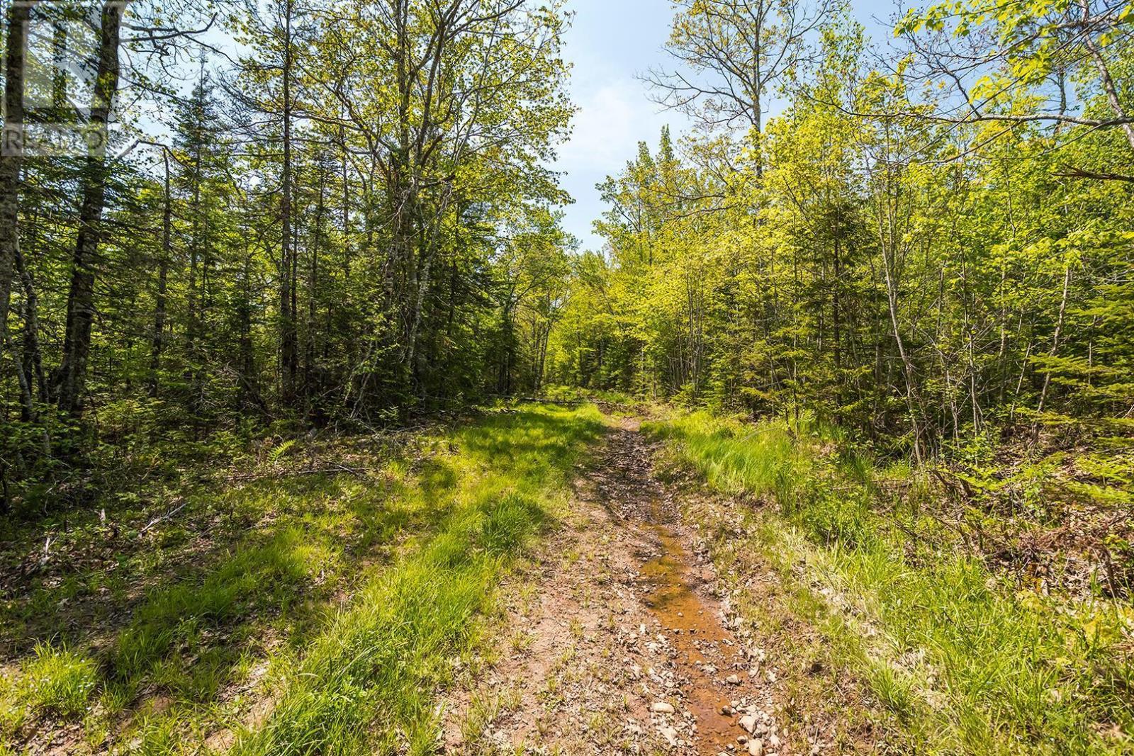 For sale Lot Old Post Road, Enfield, Nova Scotia B2T1E2 202312090