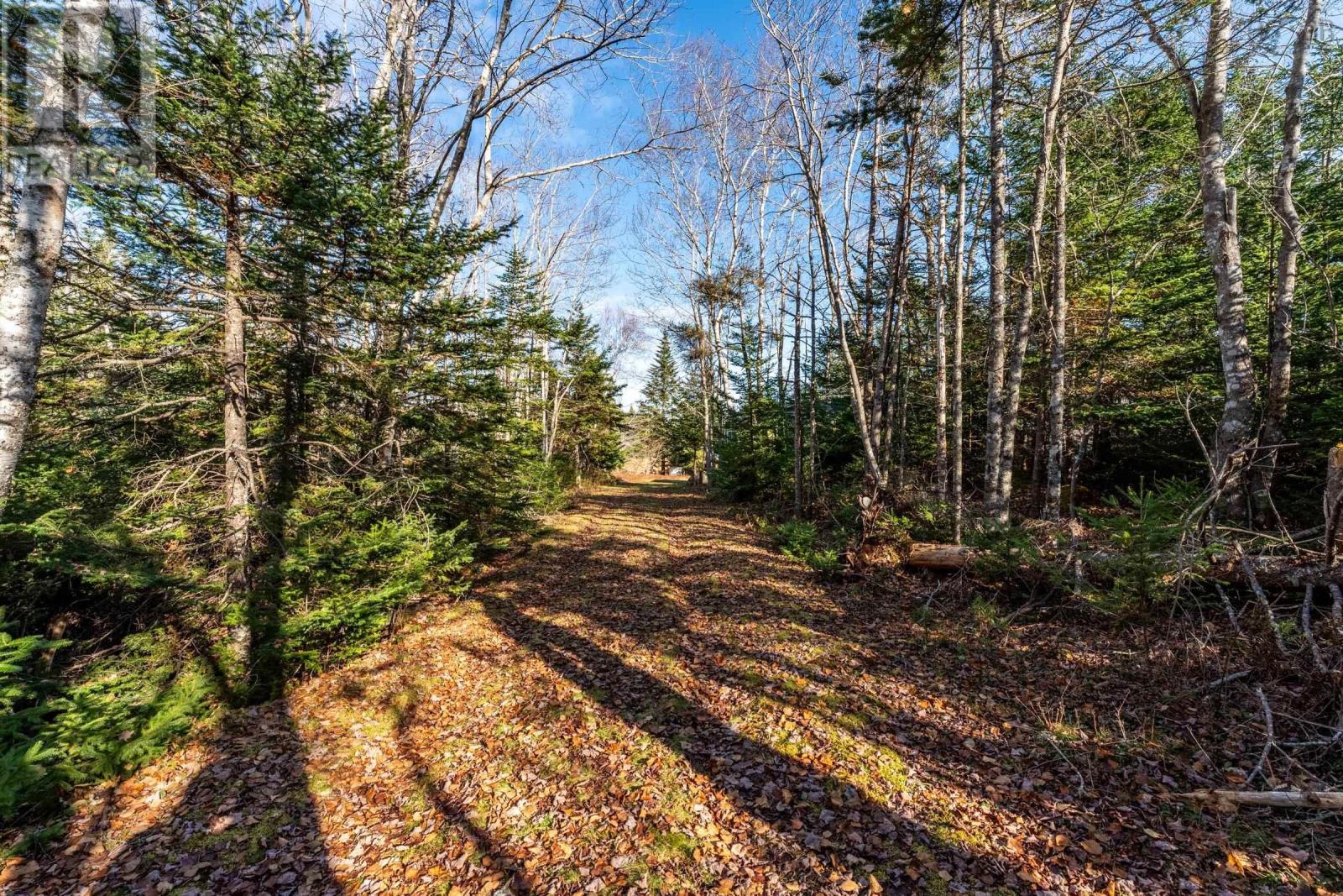 For sale 875 West Sable Road, Sable River, Nova Scotia B0T1V0 202324616 REALTOR.ca