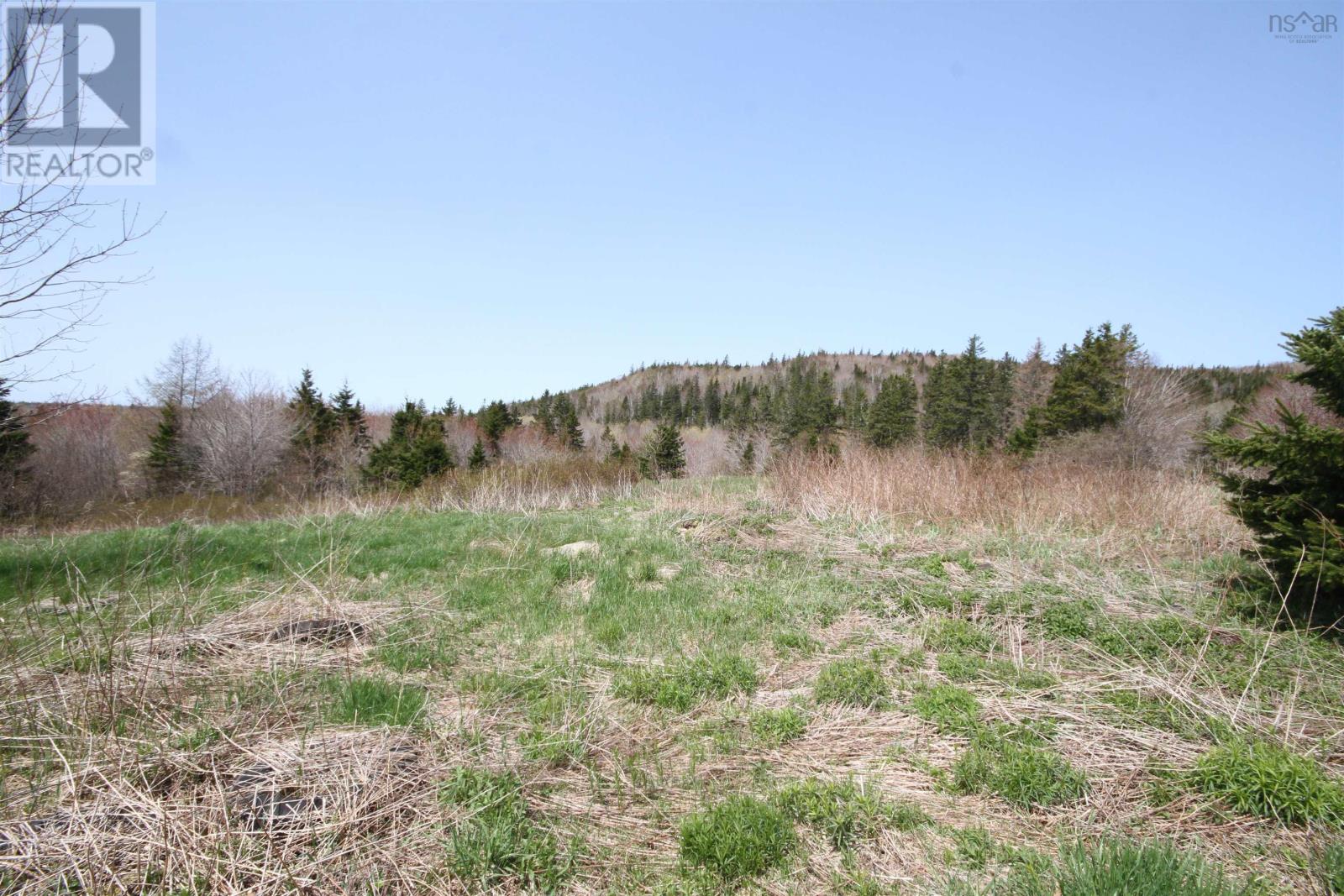 For sale Lot 1 River Denys Mountain Road, Rear Judique, Nova Scotia B0E1P0 202310676 REALTOR.ca