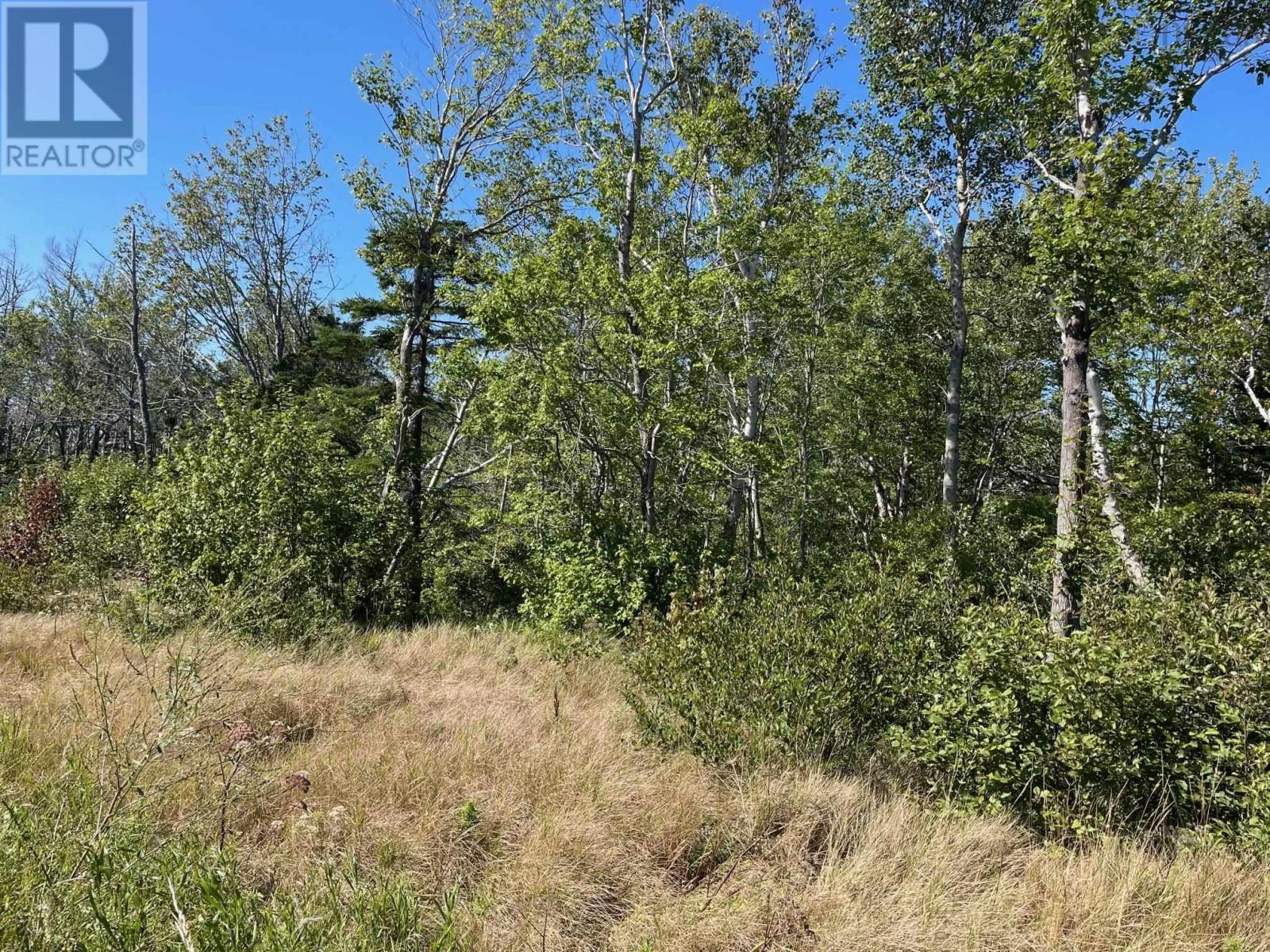 For sale 0 GRAND LAKE Road, SYDNEY HWY 4, Reserve Mines, Nova Scotia