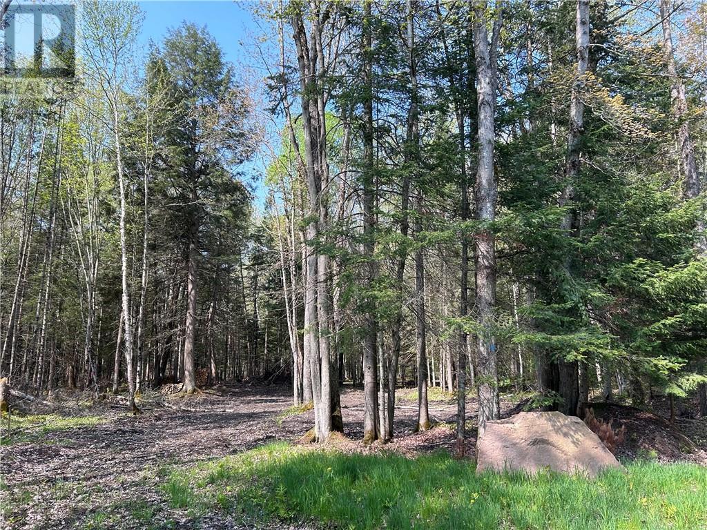 For sale 63 ANNIE MAYHEW ROAD, Combermere, Ontario K0J1L0 1370893