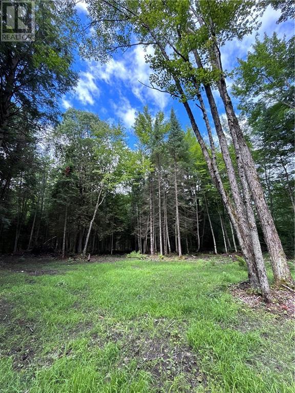 For sale 63 ANNIE MAYHEW ROAD, Combermere, Ontario K0J1L0 1370893