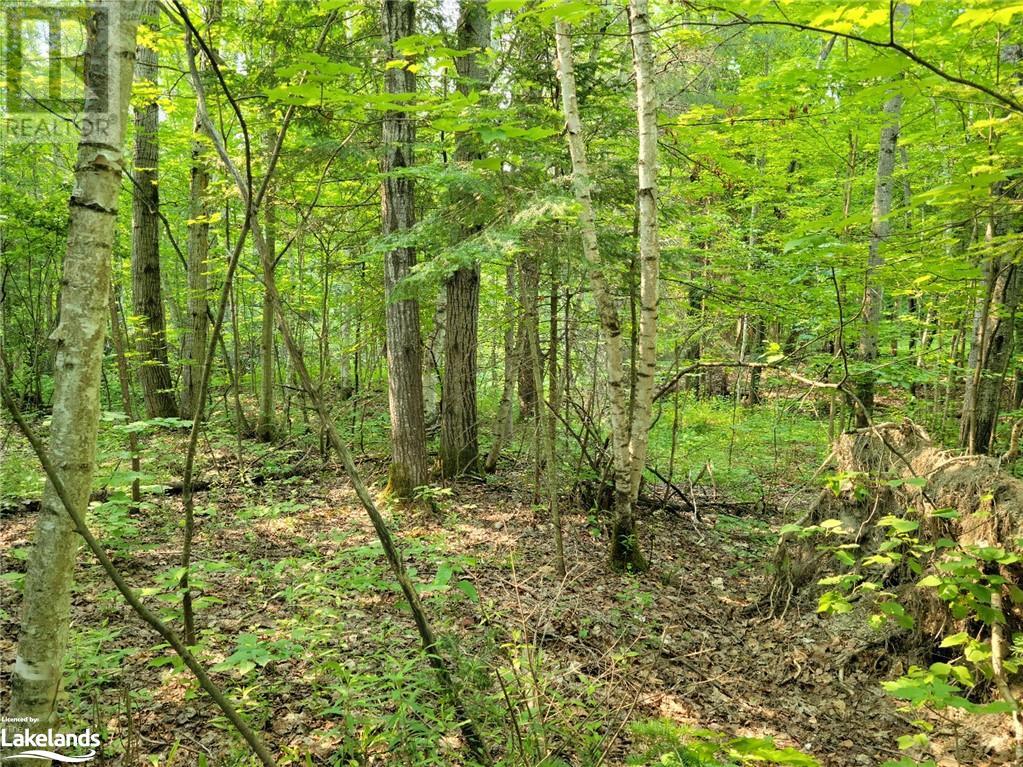 For sale 5 FOX RUN Lane Unit 35, Huntsville, Ontario P1H1E3