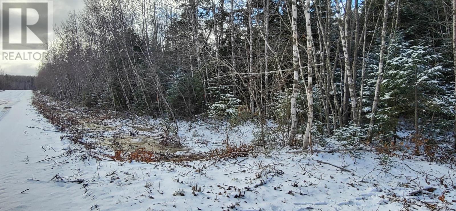 For sale Lot 17 Truro Road, New Annan, Nova Scotia B0K1V0 202325032