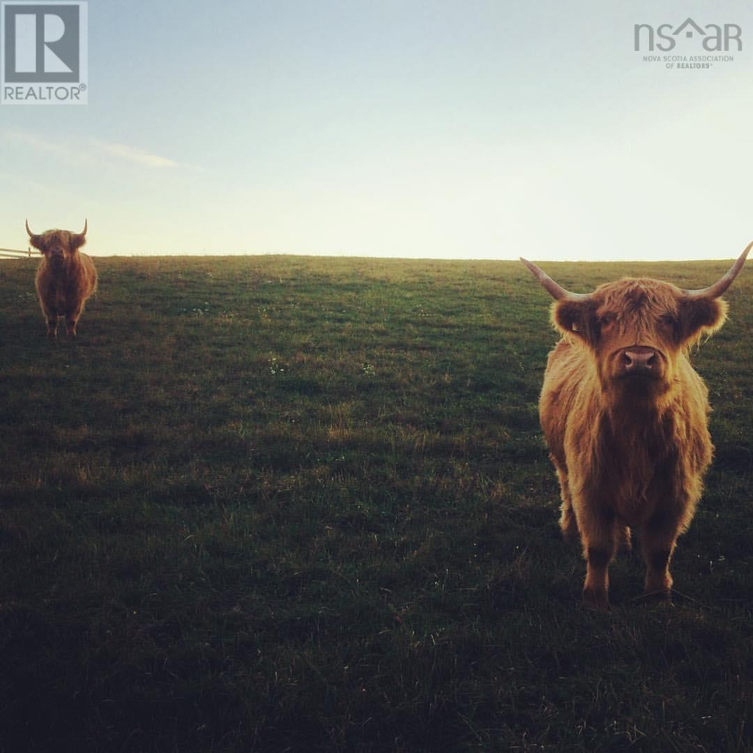 For sale Lot Upper Kingsburg Road, Upper Kingsburg, Nova Scotia B0J2X0