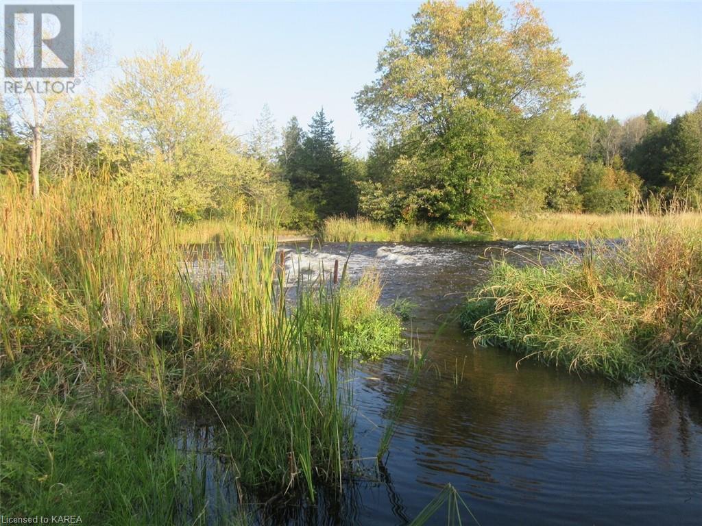 For sale 0 SALMON RIVER Road, Roblin, Ontario K0K2W0 40520332