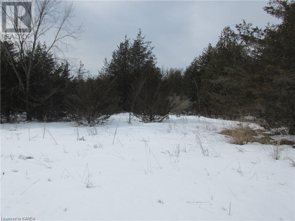 For sale 0 SALMON RIVER Road, Roblin, Ontario K0K2W0 40520332