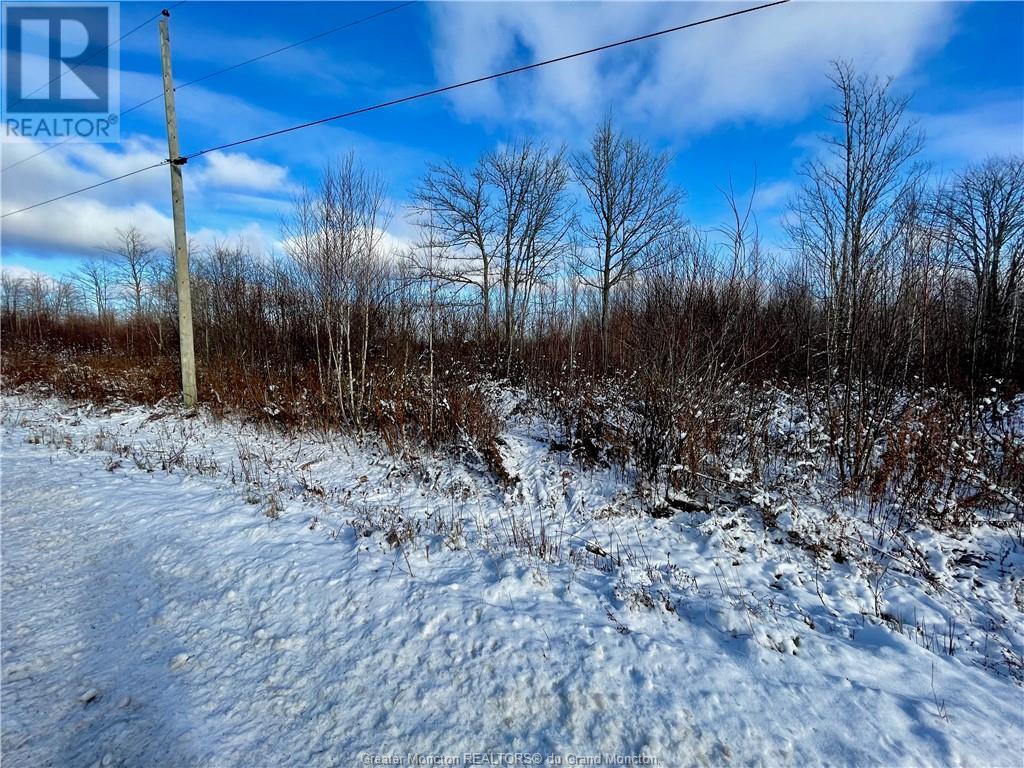 For sale 168 Collins Lake RD, Shemogue, New Brunswick E4N3B9 M156264