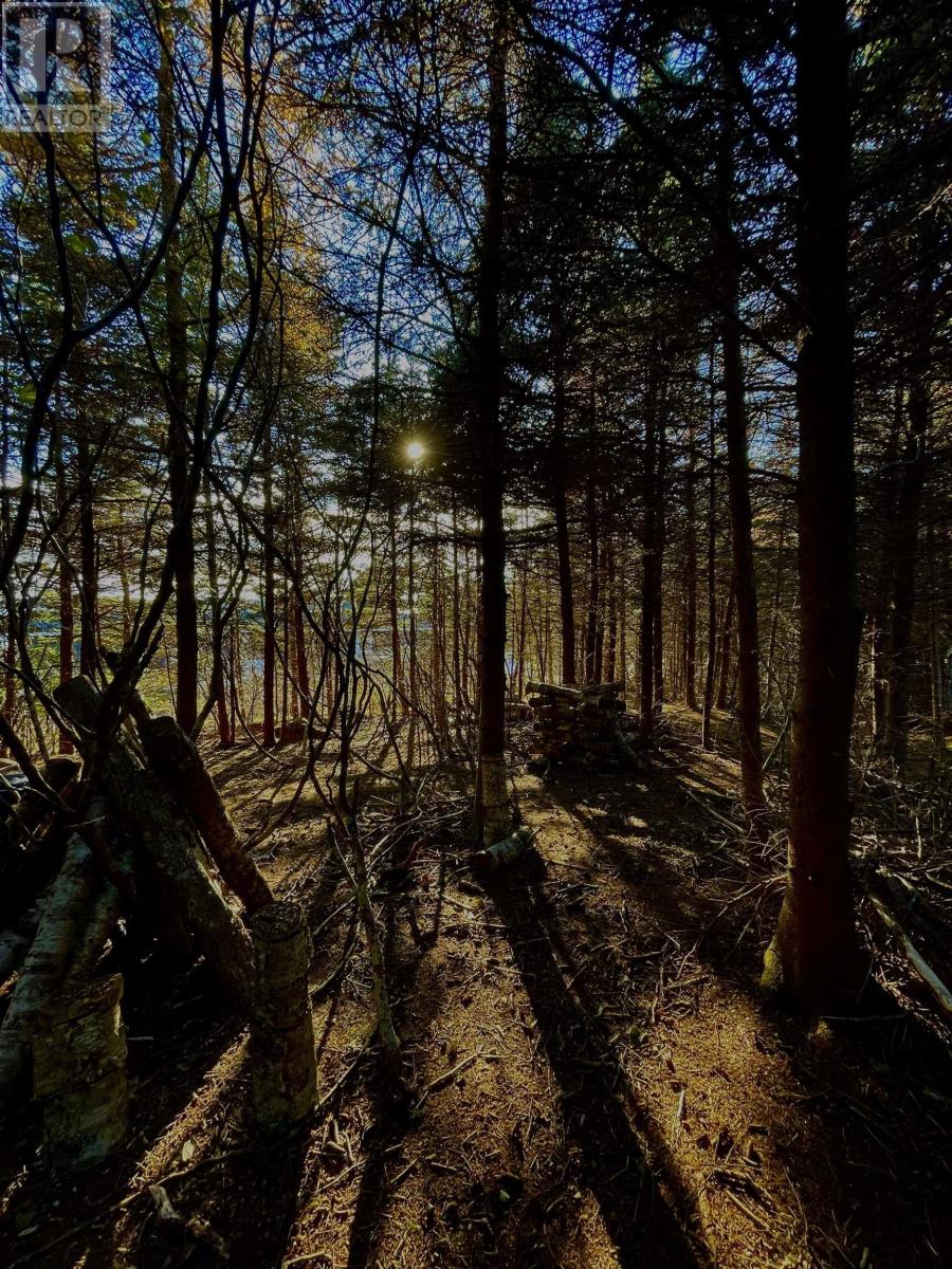 For sale 24979 Highway 7, Port Dufferin, Nova Scotia B0J2R0