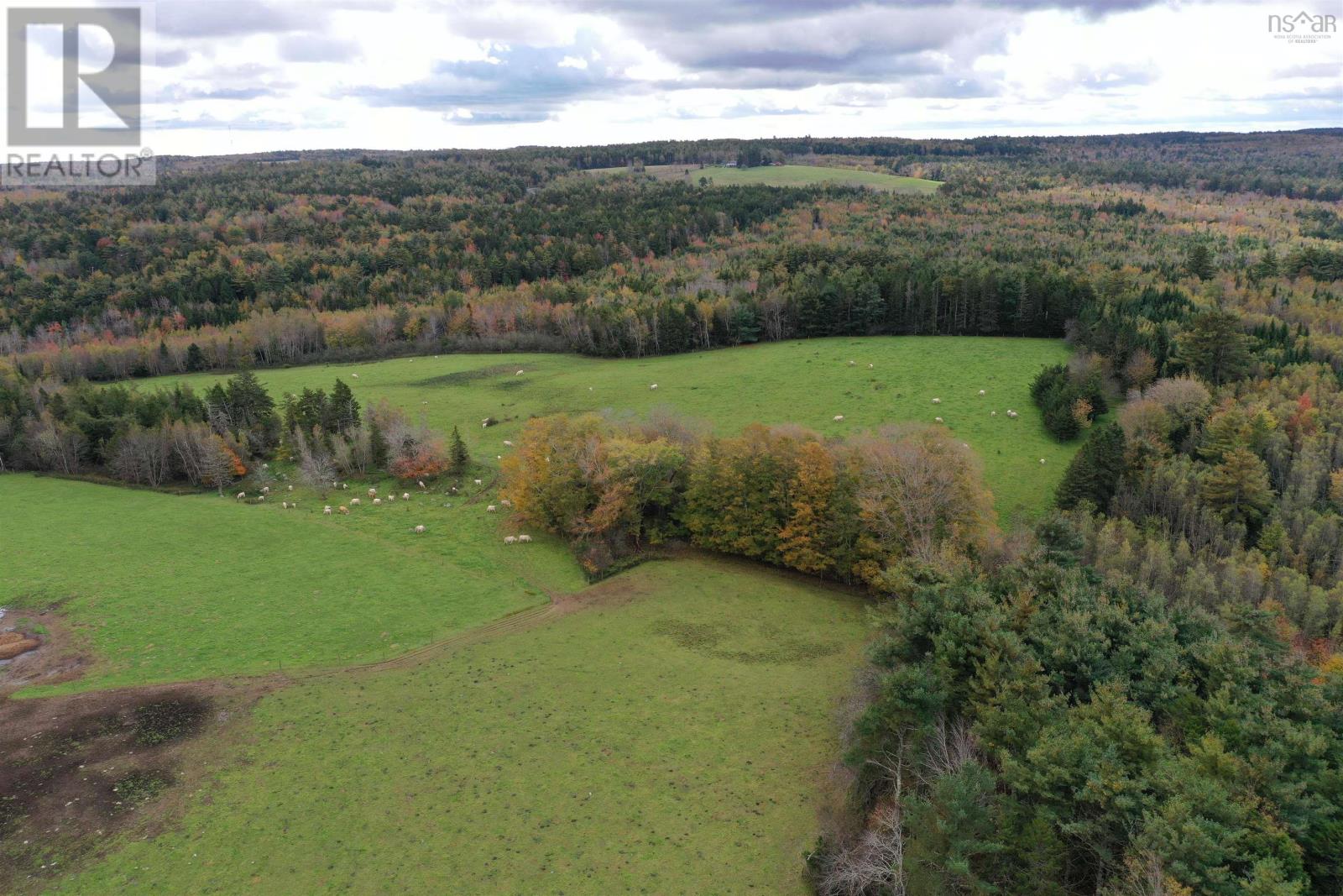 For sale 2249 Upper Branch Road, Midville Branch, Nova Scotia B4V4S9