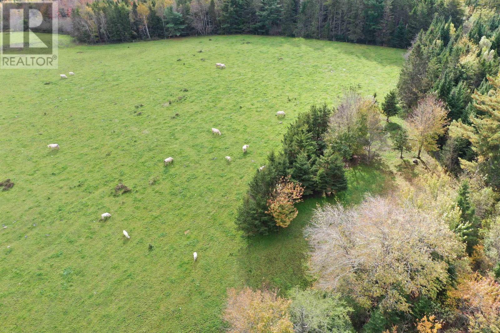 For sale 2249 Upper Branch Road, Midville Branch, Nova Scotia B4V4S9