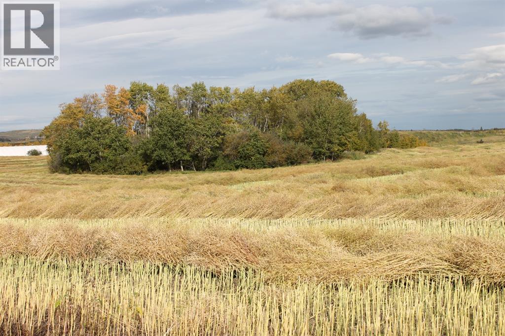 For sale 9300 101 Street, Sexsmith, Alberta T0H3C0 A1165127 REALTOR.ca