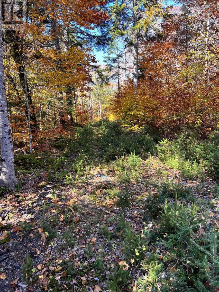 For sale 0 Gilberts Lane, Maplewood, Nova Scotia B0R1A0 202317502