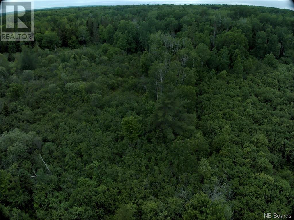 For sale 8054 SqM River Road, Sunny Corner, New Brunswick E9E1C7