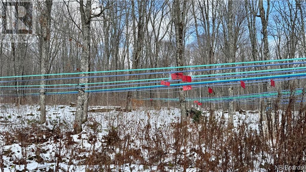 For sale NA Woods Road, Kedgwick, New Brunswick E8B1H1 NB093947