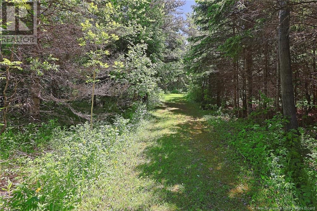 For sale 125 South Knowlwsville Road, Knowlesville, New Brunswick