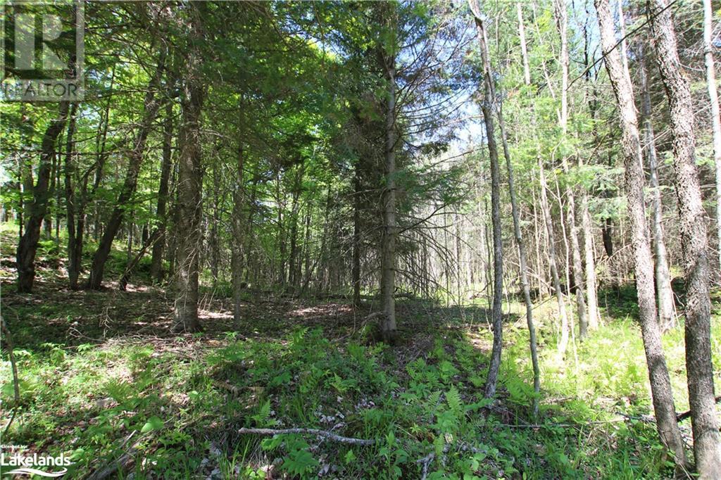 For sale 0 OLD NIPISSING Road N, Commanda, Ontario P0H1J0 40523206 REALTOR.ca