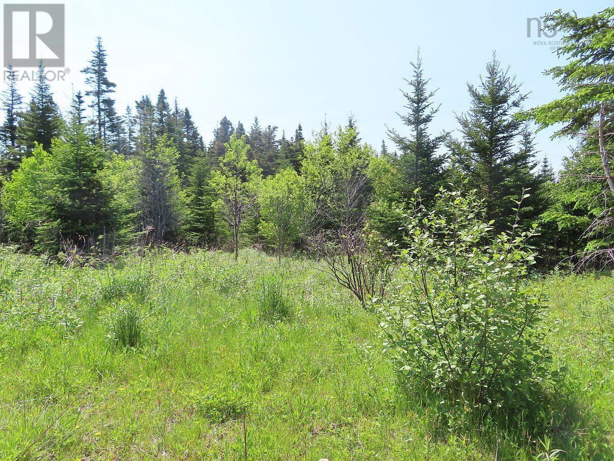 For sale Salmon River Road, Garrets Lake, L'Ardoise, Nova Scotia