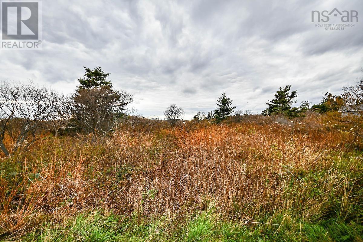 For sale 2129 Lower Prospect Road, Lower Prospect, Nova Scotia B3T1Y8 202322509 REALTOR.ca