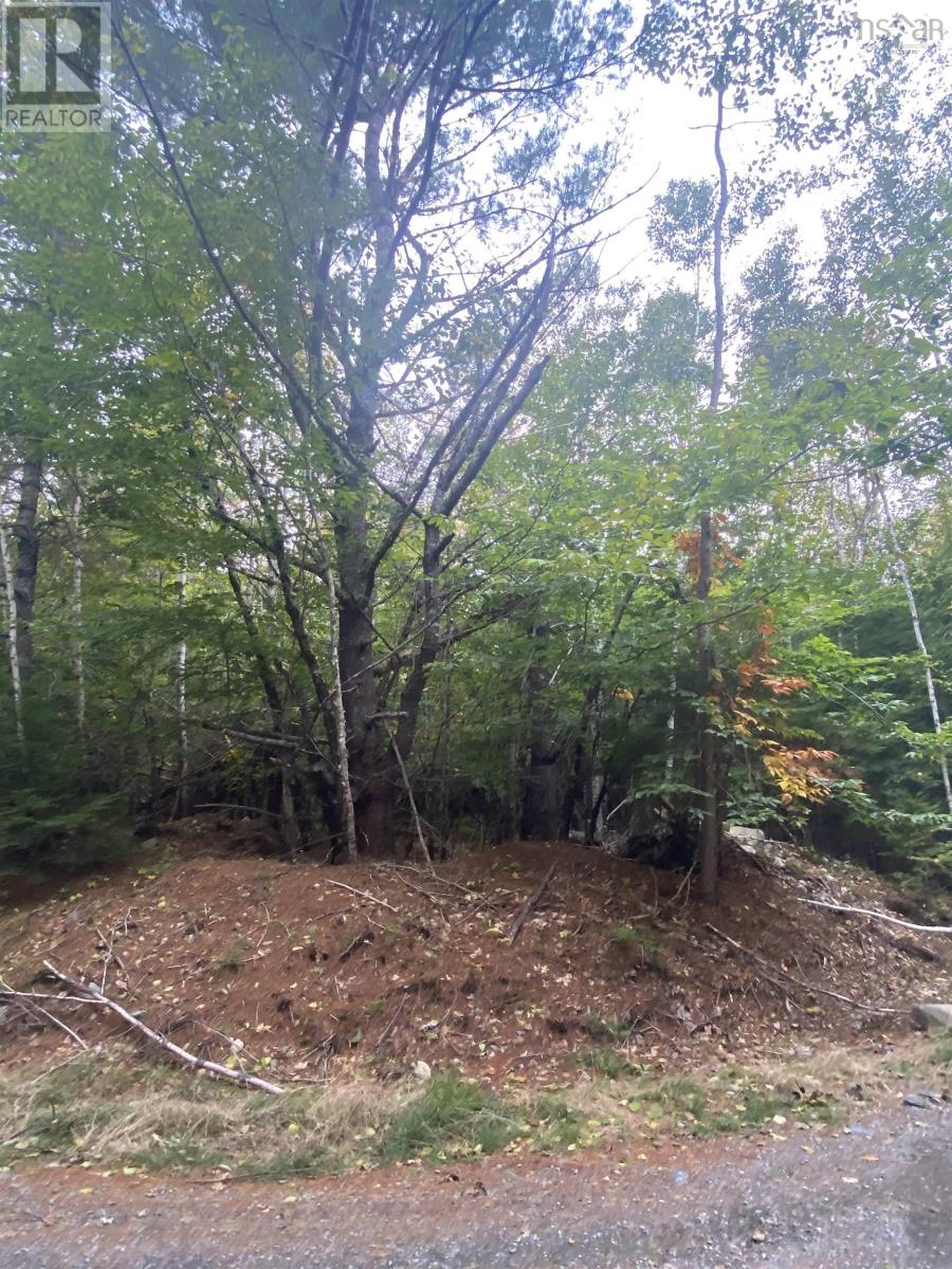 For sale Lot 56 Ponhook View Drive, Labelle, Nova Scotia B0T1E0