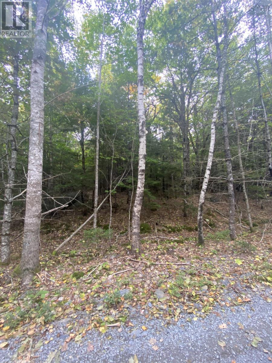 For sale Lot 56 Ponhook View Drive, Labelle, Nova Scotia B0T1E0