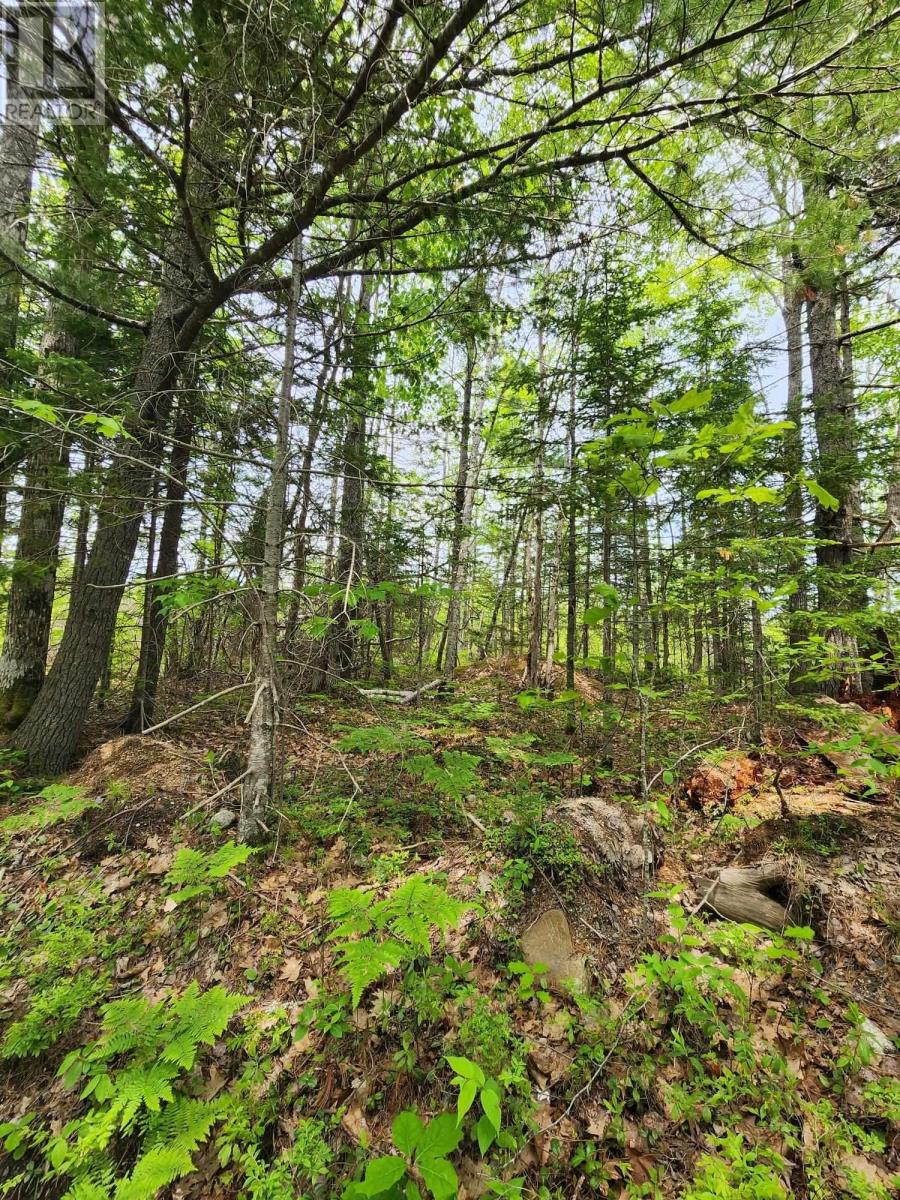 For sale Lot 15 Charlton Road, West Springhill, Nova Scotia B0S1A0