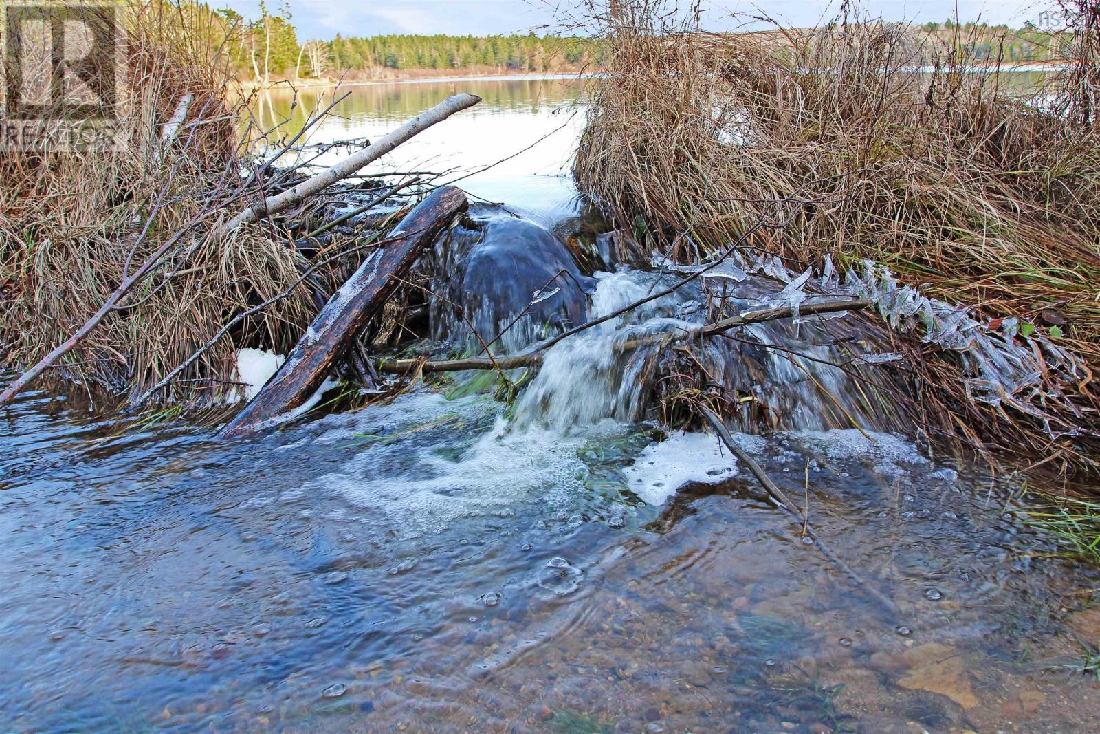 For sale Lot Arlington Road, Mount Hanley, Nova Scotia B0S1M0