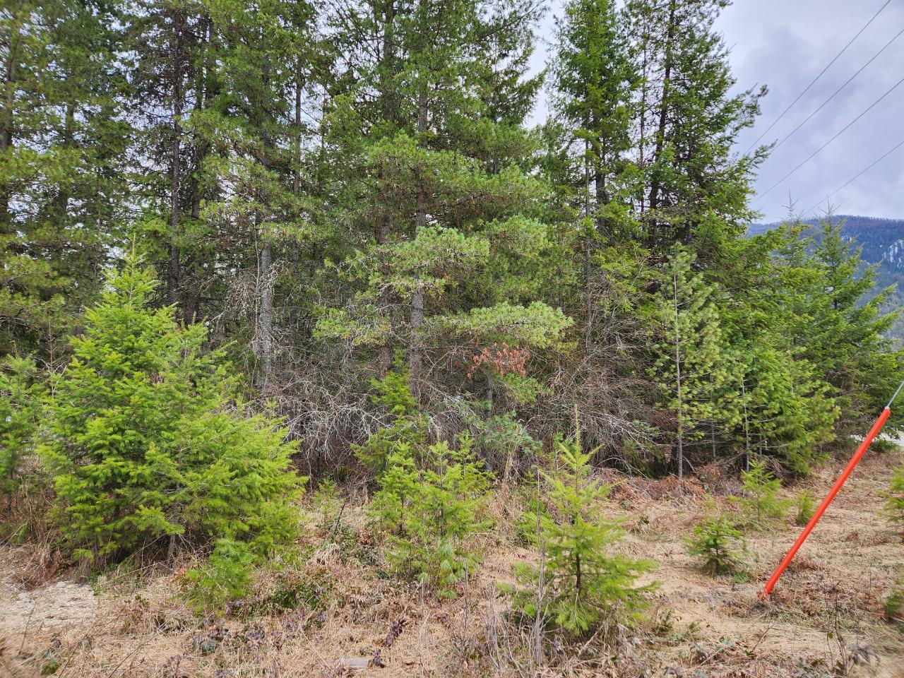 For sale Lots 810 HUME STREET, Slocan, British Columbia V0G2C0