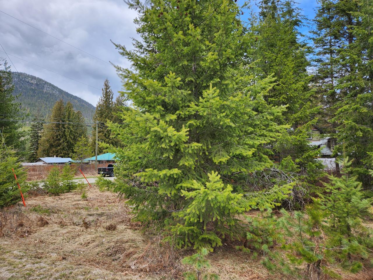 For sale Lots 810 HUME STREET, Slocan, British Columbia V0G2C0 2474492 REALTOR.ca