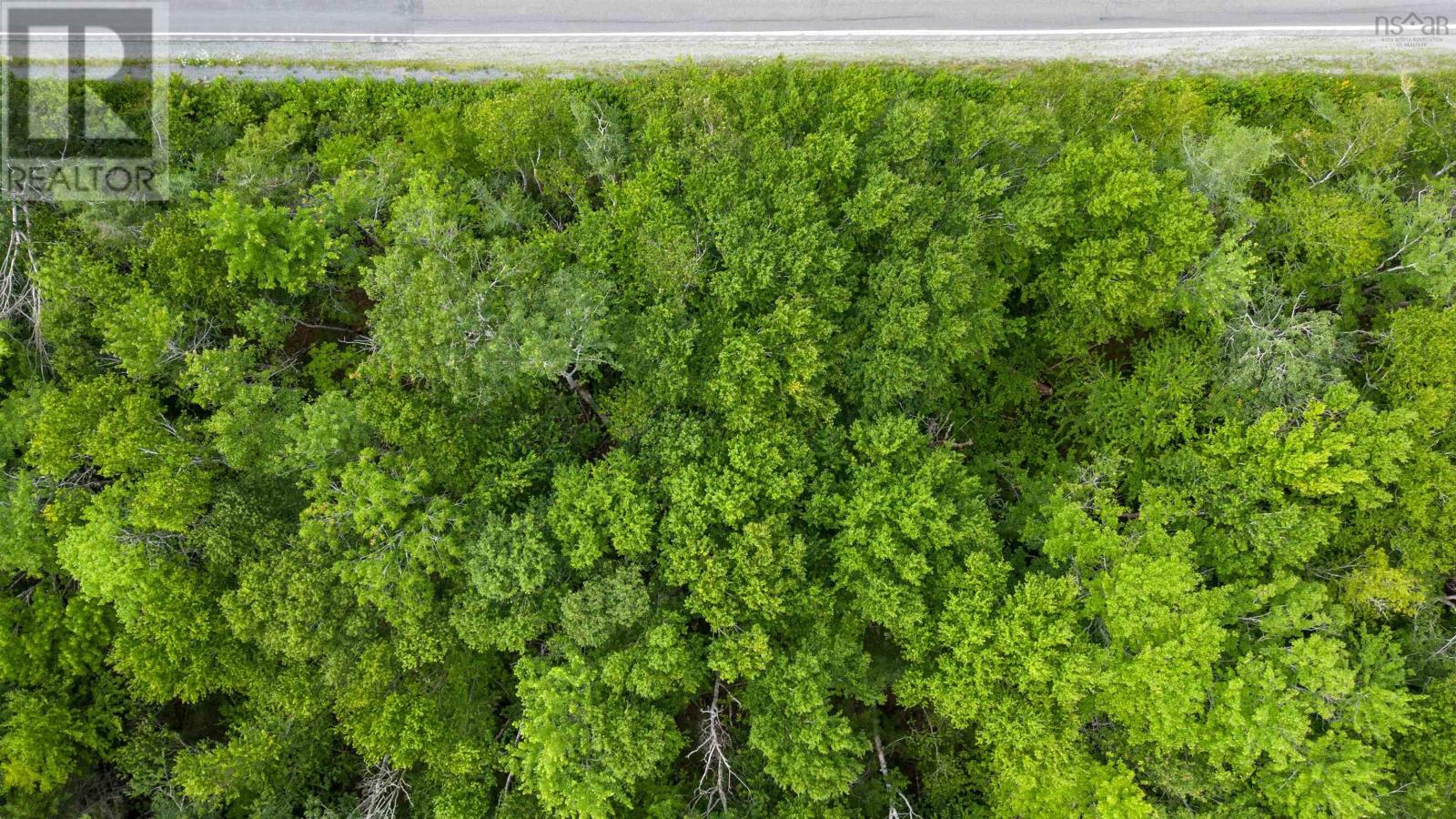 For sale Sheet Harbour Road, Mill Lake, Nova Scotia B0N1M0 202316511 REALTOR.ca