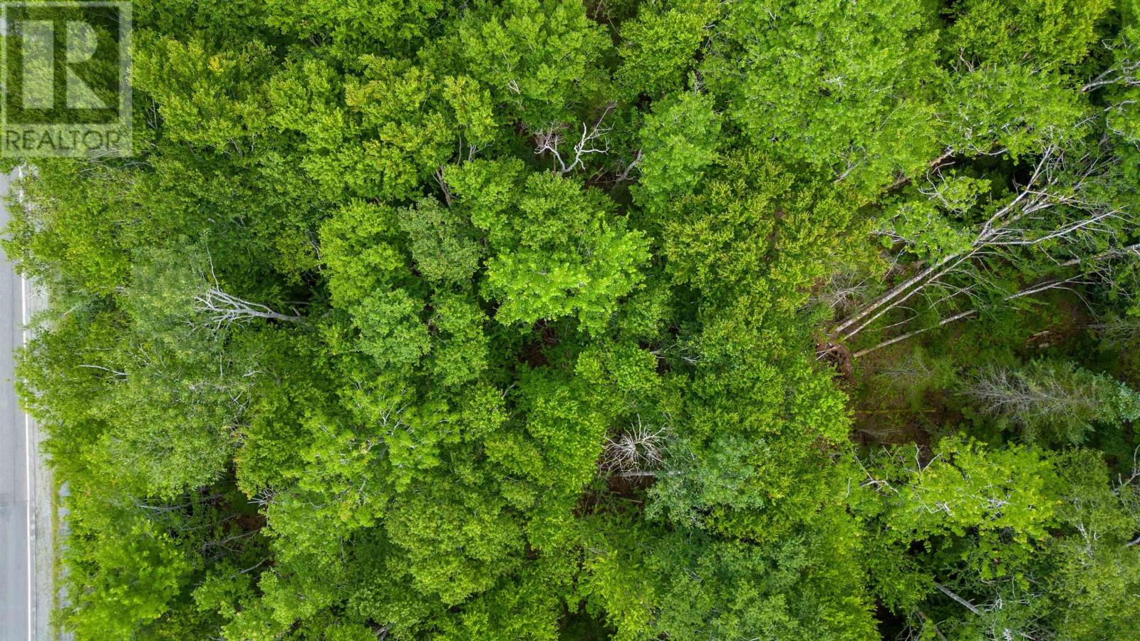 For sale Sheet Harbour Road, Mill Lake, Nova Scotia B0N1M0 202316511