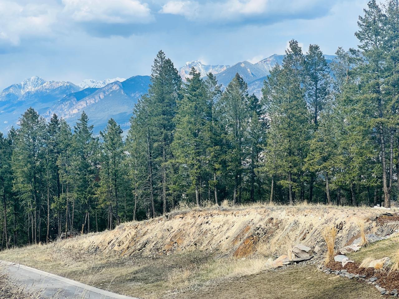 For sale Lot 48 PINE RIDGE MOUNTAIN LANE, Invermere, British Columbia V0A1K4 2474529 REALTOR.ca