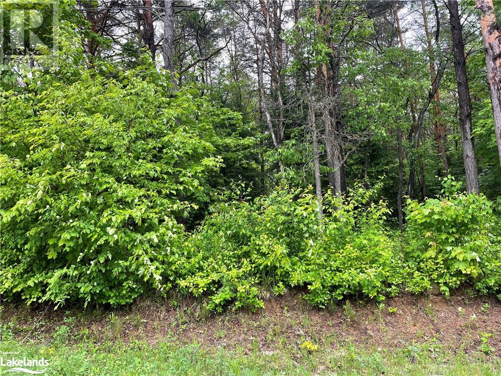 For sale 101 ALBERT Street N, Sundridge, Ontario P0A1Z0 40527775