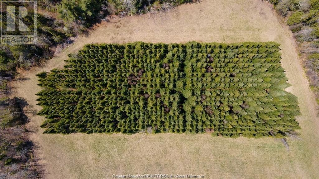For sale LOT 3 Shortall Road, South Branch, New Brunswick E4W3L9 M156792 REALTOR.ca