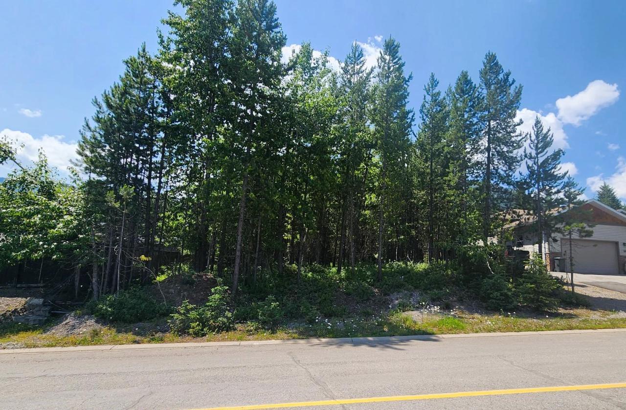 For sale 51 DARBY CRESCENT, Elkford, British Columbia V0B1H0 2474570 REALTOR.ca