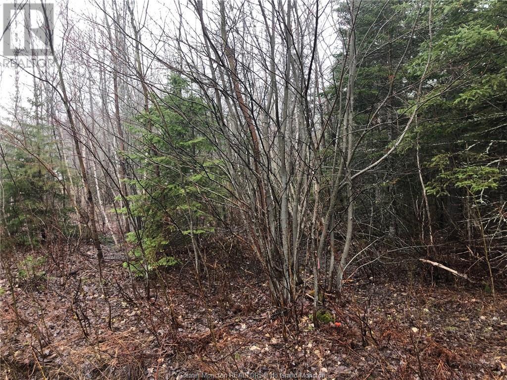 For sale Lot Irishtown RD, Irishtown, New Brunswick E1C4Z4 M152188