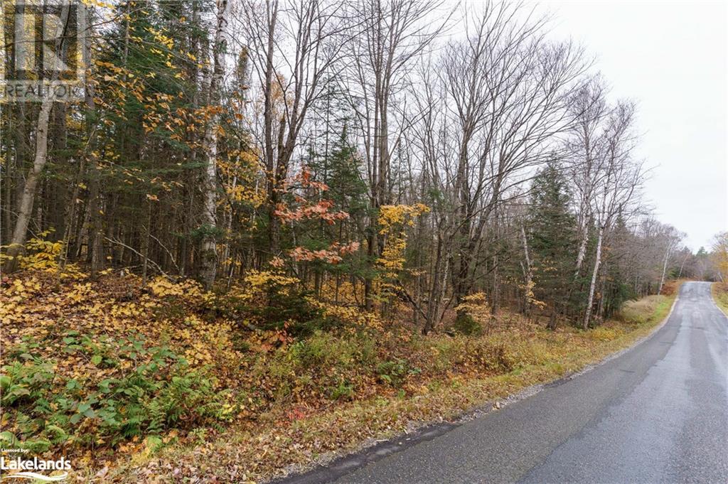 For sale 0 AHMIC LAKE Road, Ontario P0A1P0 40499139