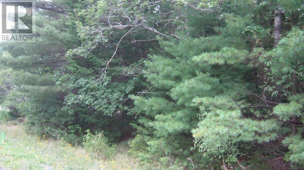 For sale Dawson Road, Ellershouse, Nova Scotia B0N1L0 202317664 REALTOR.ca