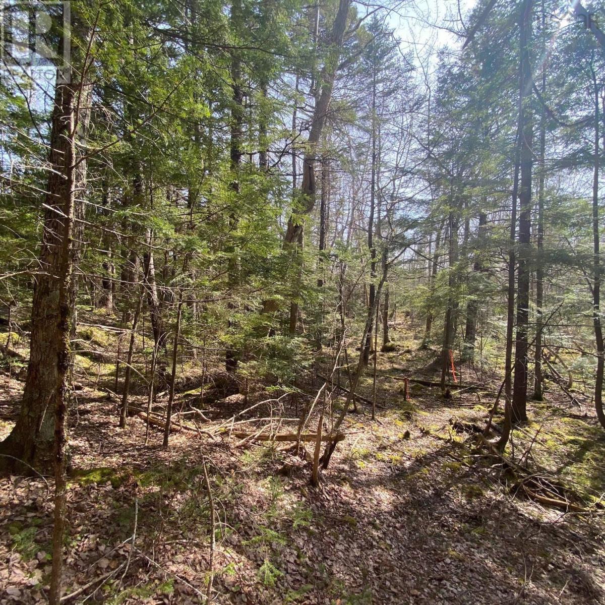 For sale Lot 9 Old Trunk Highway 3, Hebbs Cross, Nova Scotia B4V0Z4