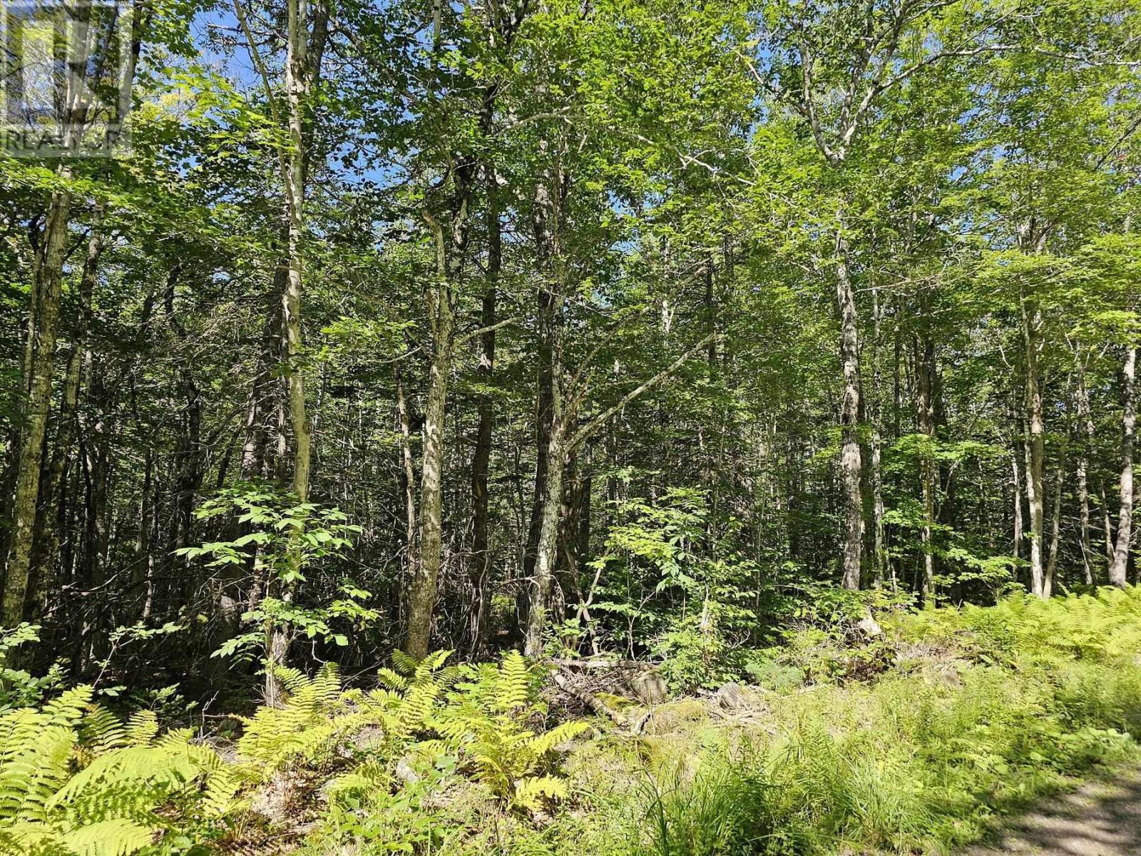 Mickey Hill Loop, Graywood, Nova Scotia B0S1A0 REALTOR.ca