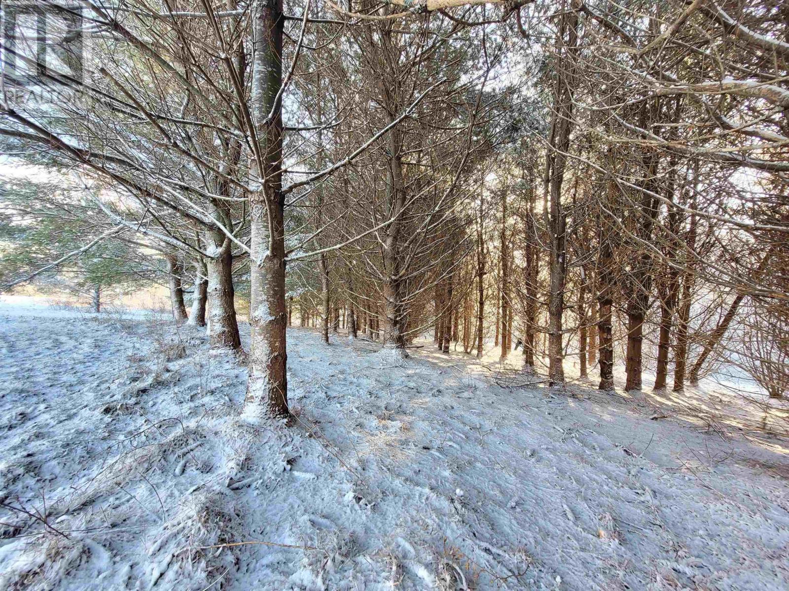 12361 Highway 215, Admiral Rock, Nova Scotia B0N2H0 REALTOR.ca